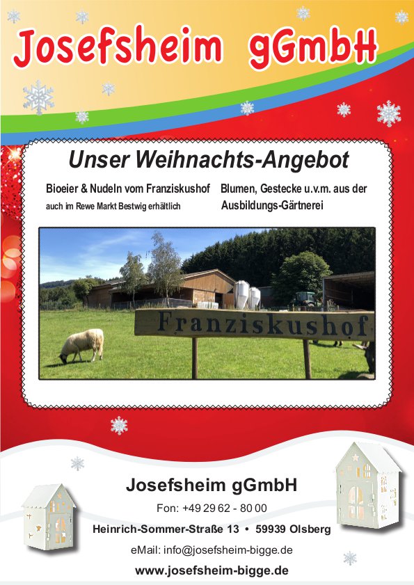 Digitaler-Weihnachtsmarkt_2021_josefsheim.jpg
