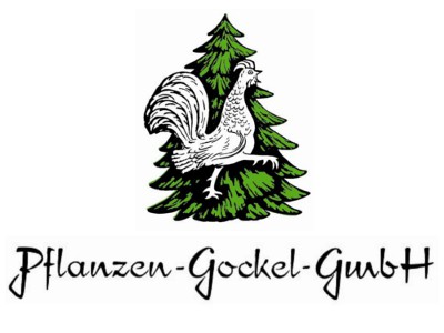 pflanzen-gockel.jpg